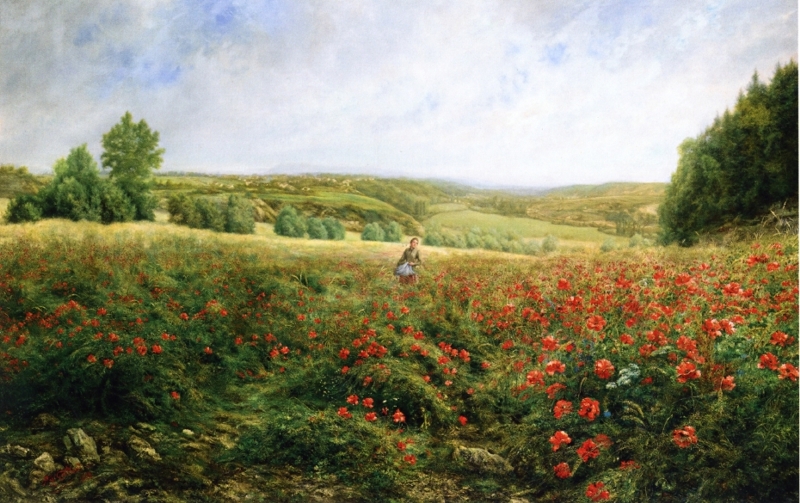 A Field of Flowers by Pierre Arthur Gaillard