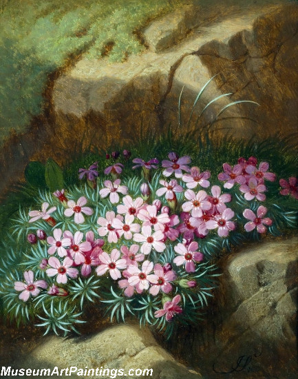 Alpine Flowers Painting