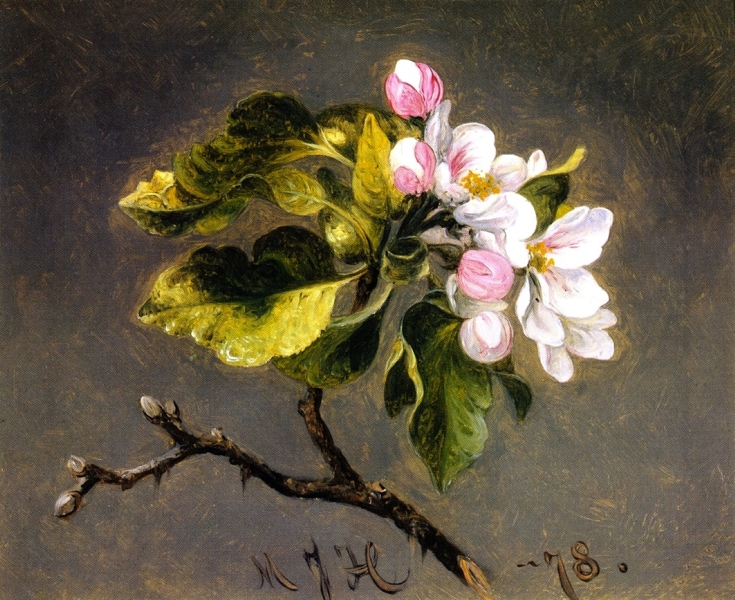 Apple Blossoms 1 by Martin Johnson Heade