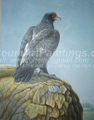 Bird Oil Paintings 003
