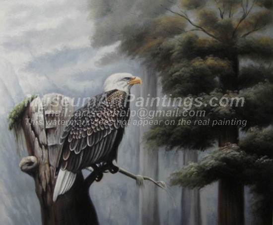 Bird Oil Paintings 005