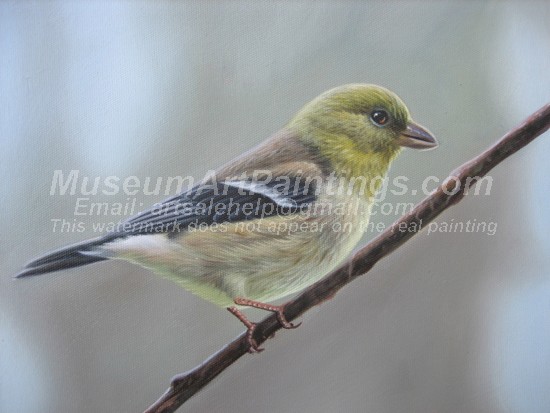 Bird Oil Paintings 006