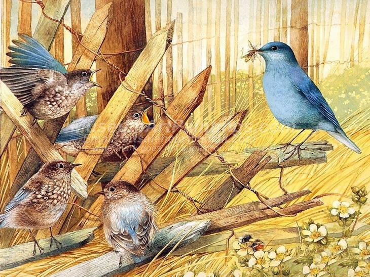 Bird Oil Paintings 010