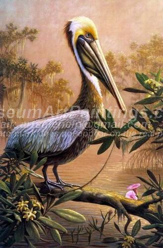 Bird Oil Paintings 015