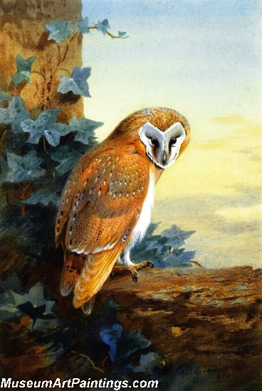 Bird Painting A Barn Owl