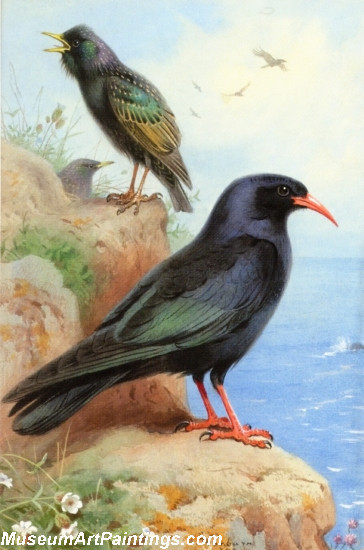 Bird Painting A Rock Starling and a Common Cough
