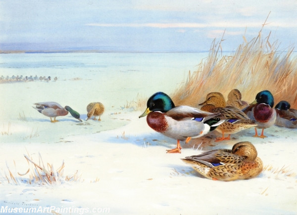 Bird Painting Mallards on a Frozen Lake