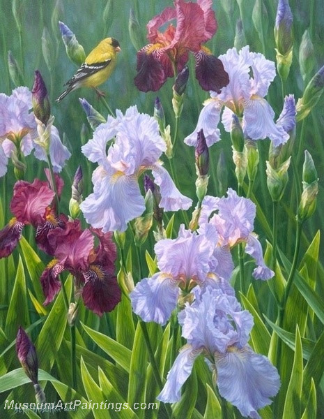 Bird Paintings 005