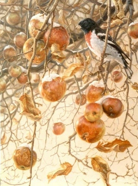 Bird Paintings 010