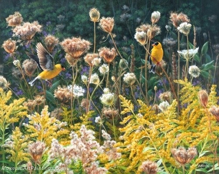 Bird Paintings 012