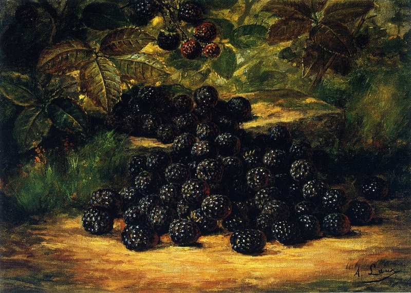 Blackberries by August Laux
