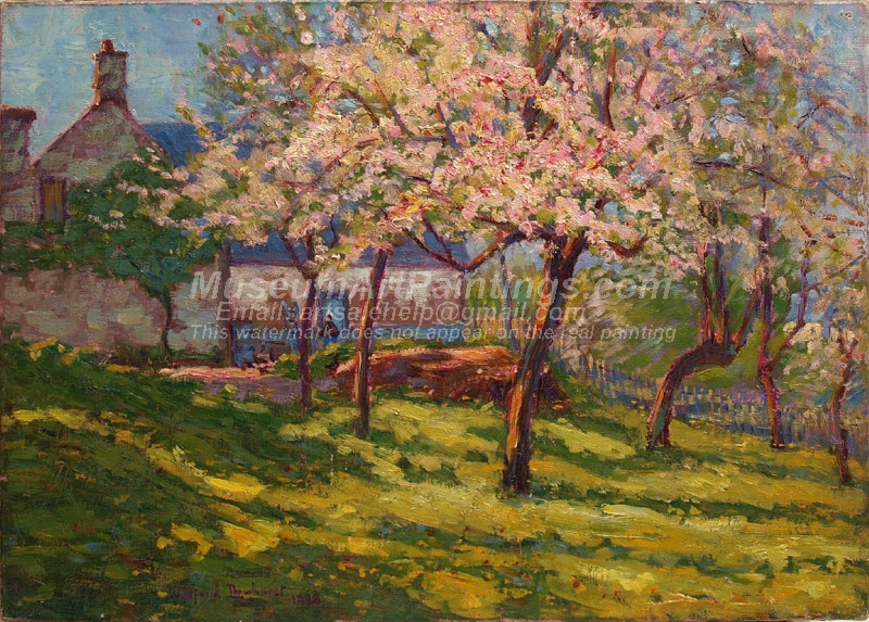 Blossoming apple trees in the garden of a Norman farmhouse
