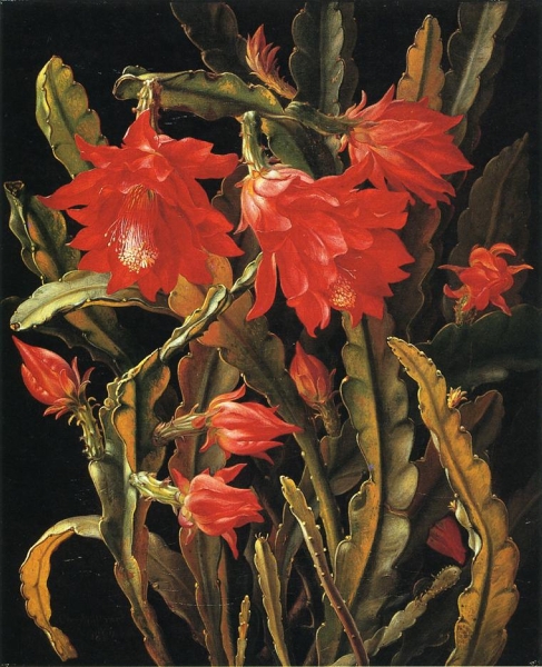 Cactus with Scarlet Blossoms by Christian Juel Mollback