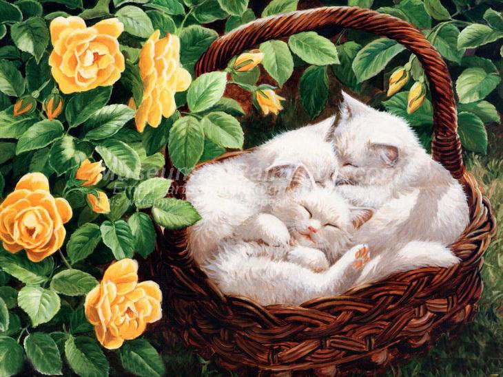 Cat Oil Paintings 009