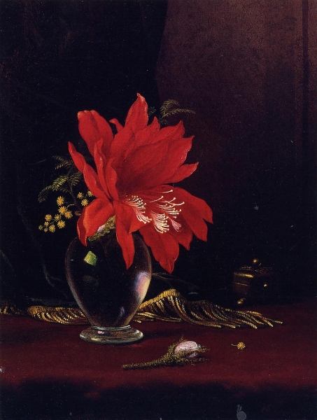 Chateau of Flower by Martin Johnson Heade