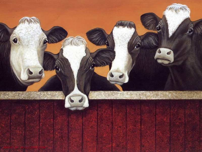 Cow Oil Paintings 006