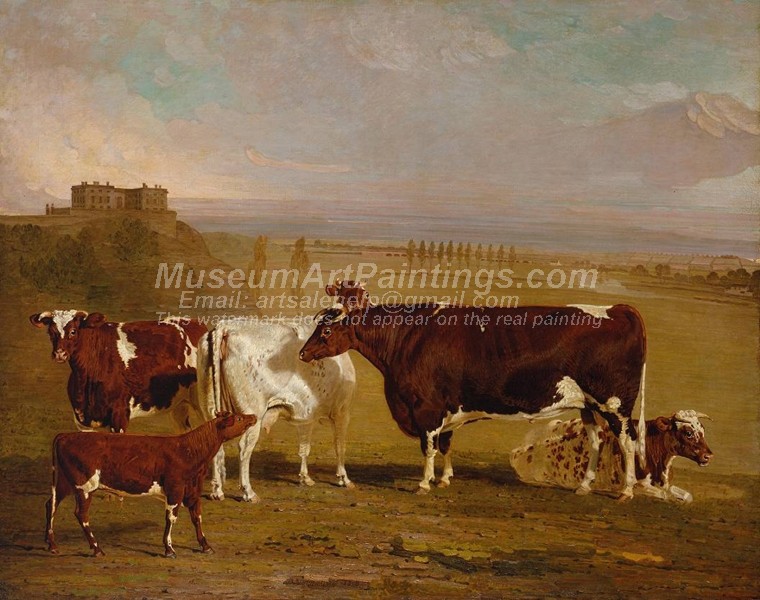Cow Painting Portraits of Cattle of the Improved Short Horned Breed