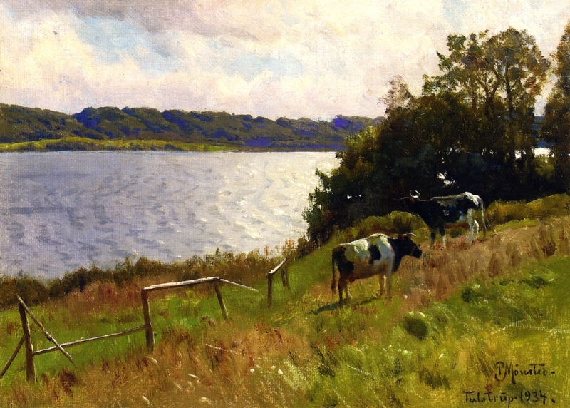 Cows Grazing at Tulstrup Denmark