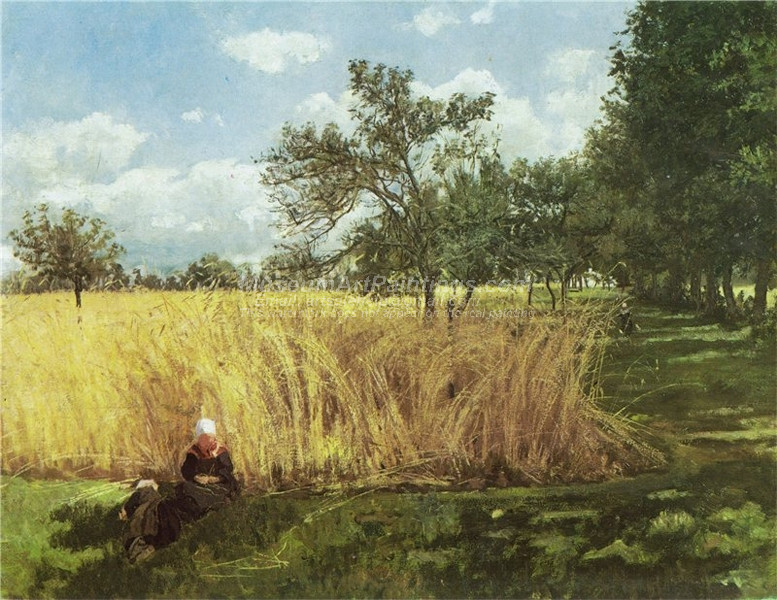 Cropland in Rochefort by Kitty Kielland