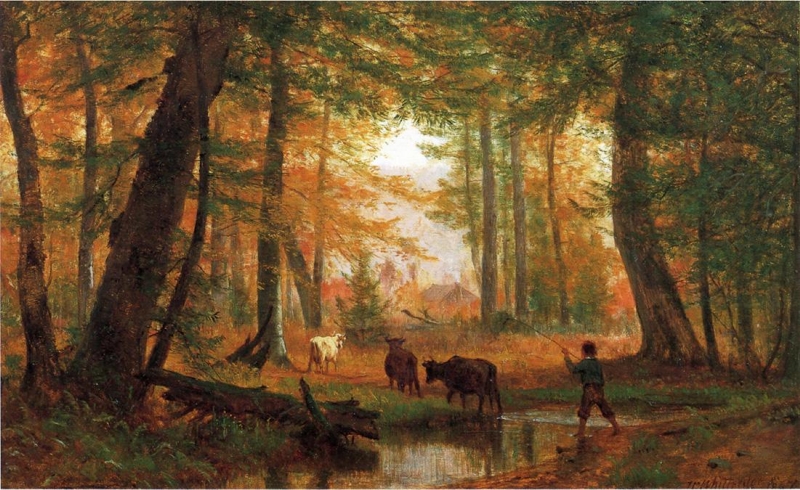 Crossing the Stream Gap by Andrew W Melrose