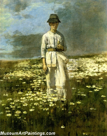 Daisy Field Nantucket Painting