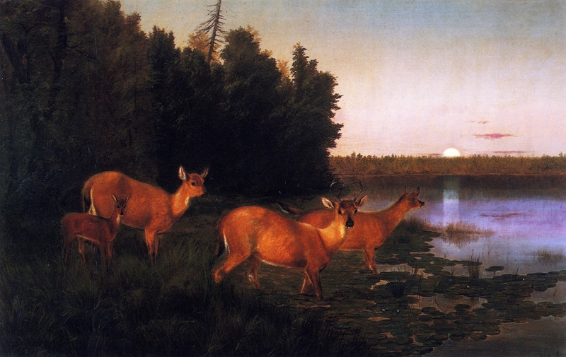 Deer at Dawn by William Jacob Hayes
