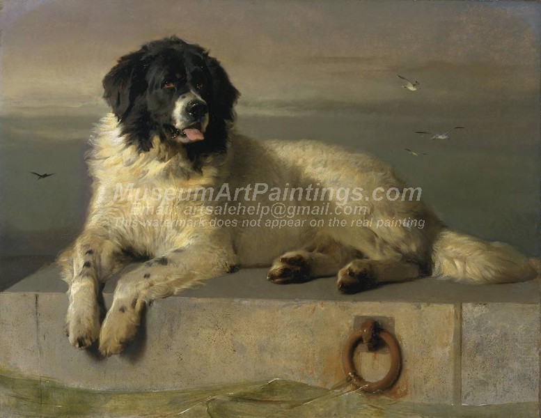 Dog Oil Paintings 015