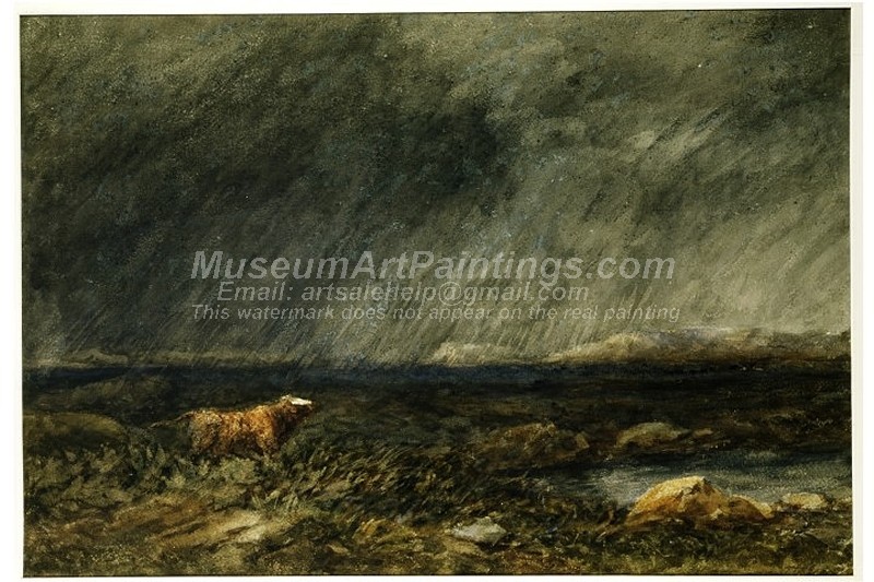 Famous Bull Paintings A Bull in a Storm on a Moor