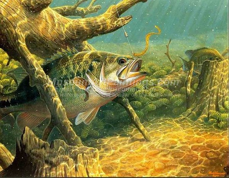 Fish Oil Paintings 015