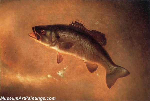 Fish Paintings Broadtail Bass