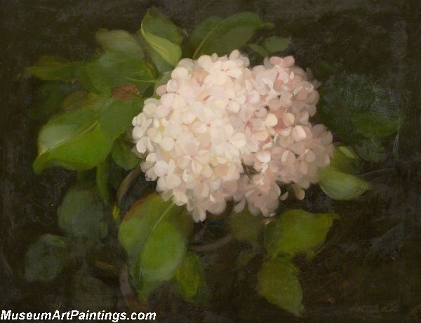 Flower Oil Painting Hydrangeas