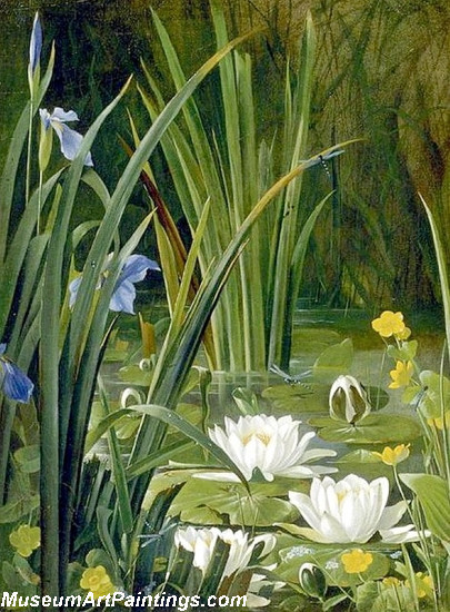 Garden Paintings Beautiful Waterlilies