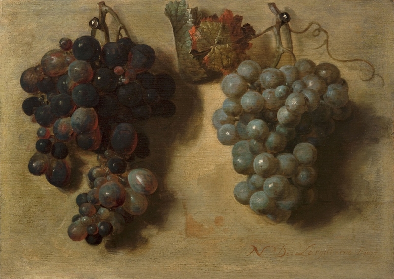 Grapes by Nicolas de Largillierre