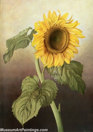 Hand Painted Flower Paintings 029
