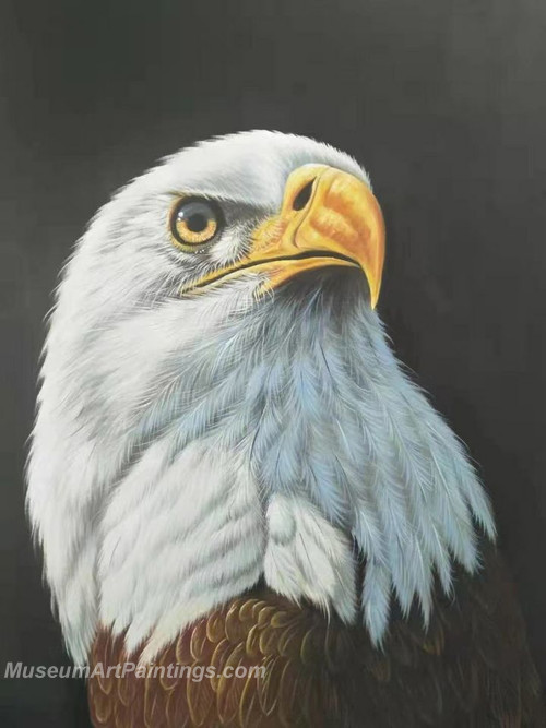 Handmade Eagle Oil Paintings HEPS3