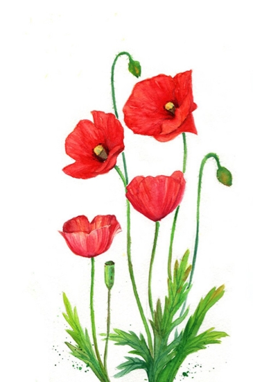 Handmade Flower Oil Painting 018