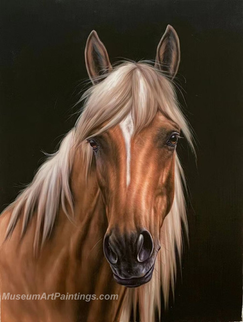 Handmade Horse Head Oil Paintings HHAS2