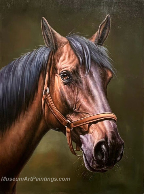 Handmade Horse Head Oil Paintings HHAS5