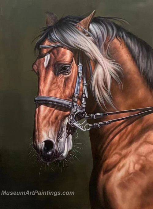 Handmade Horse Head Oil Paintings HHAS7