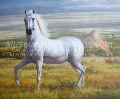 Horse Oil Paintings 023