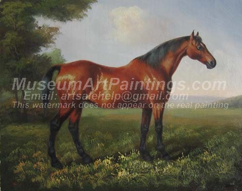 Horse Oil Paintings 026