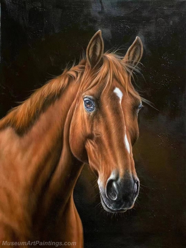 Horse Oil Paintings Horse Head NHEP01