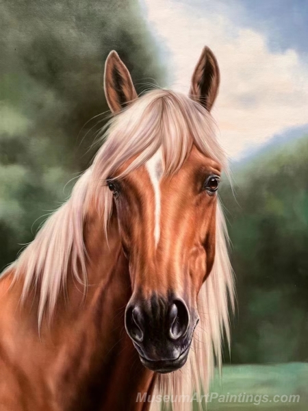 Horse Paintings Horse Head Painting HP11