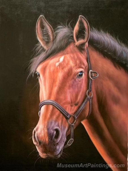 Horse Paintings Horse Head Painting HP16