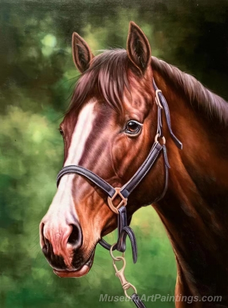 Horse Paintings Horse Head Painting HP18