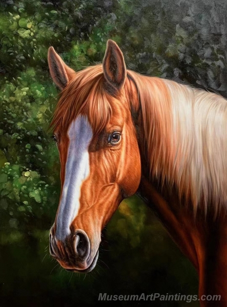 Horse Paintings Horse Head Painting HP19