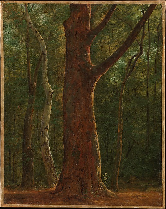Landscape Paintings Waterfall at Mont Dore