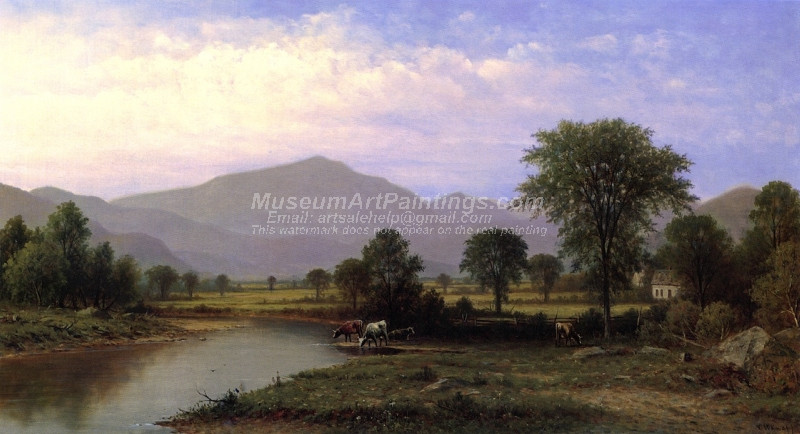 Mount Washington in Summer