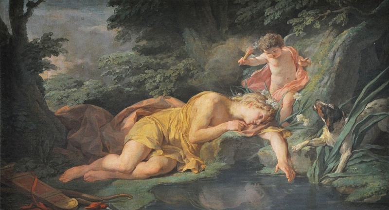 Narcisse change en fleur