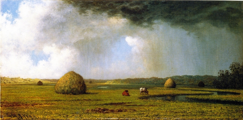 New Jersey Meadows by Martin Johnson Heade
